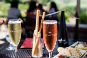 2026年足球世界杯预选赛赛程详解足球世界杯预选赛赛程