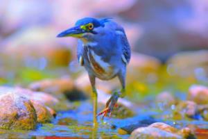 俄罗斯世界杯中国队,不一样的足球 journey俄罗斯世界杯中国队